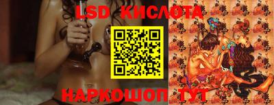 дмт Кингисепп