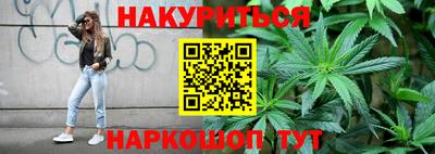 дмт Кингисепп