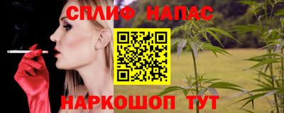 дмт Кингисепп