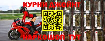 дмт Кингисепп