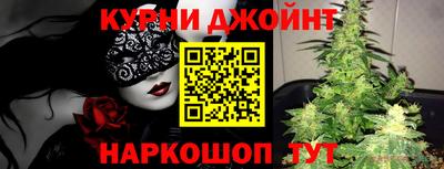 дмт Кингисепп