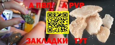 дмт Кингисепп