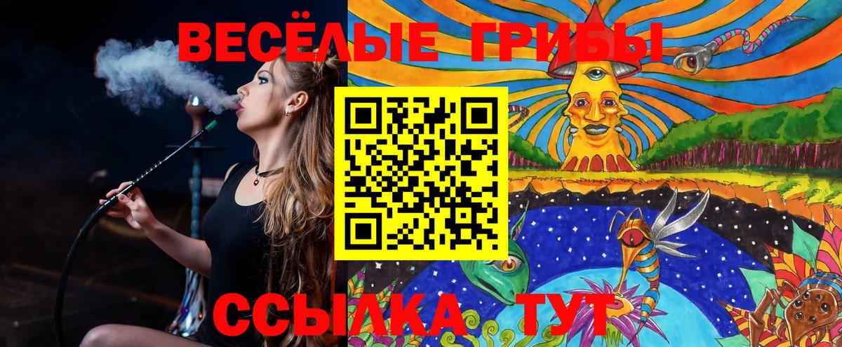 Галлюциногенные грибы GOLDEN TEACHER Чебаркуль